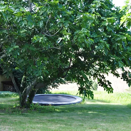 Amazing In With Garden