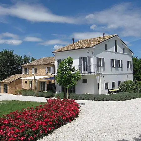Amazing In With Garden Belvedere Ostrense
