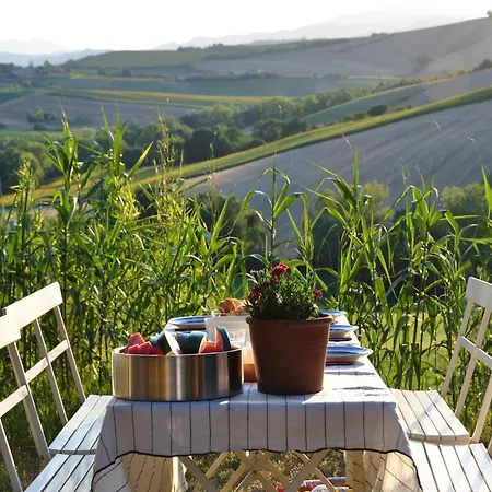 Amazing In With Garden